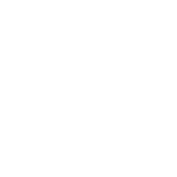 Image Step