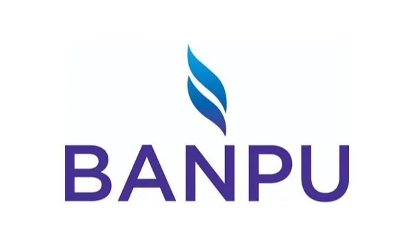 BANPU PUBLIC COMPANY LIMITED