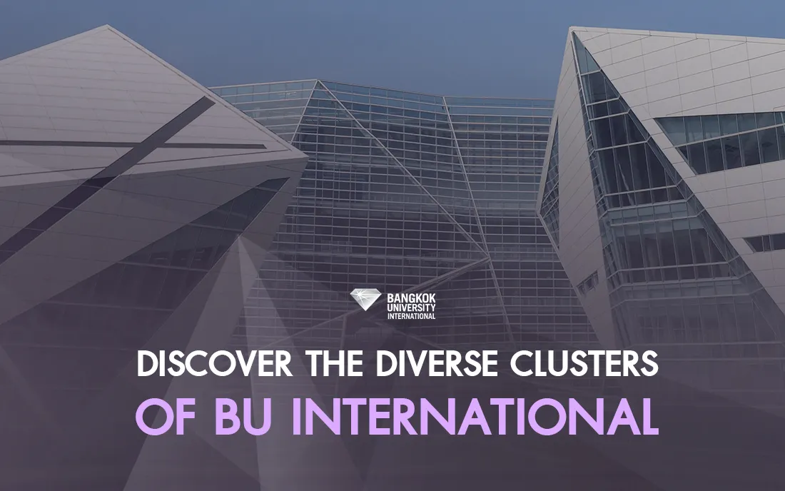 Discover the Diverse Clusters of BU International